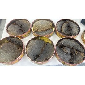 SEPET KARAKOVAN PETEK BAL