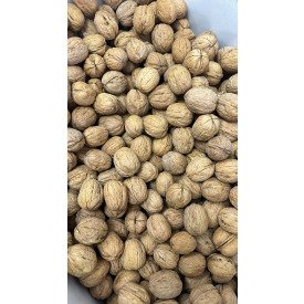 İNCE KABUK KABUKLU CEVİZ KİLOSU